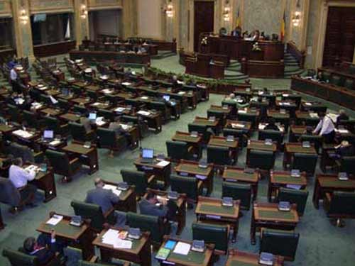 Senat